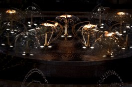 Engage%2c+Transcend+and+Flutter