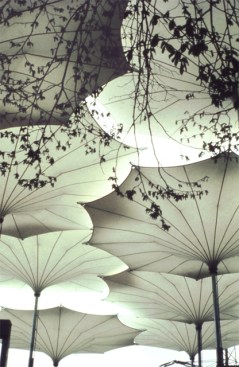 Umbrellas+for+the+Pink+Floyd+Tour%2c+1977