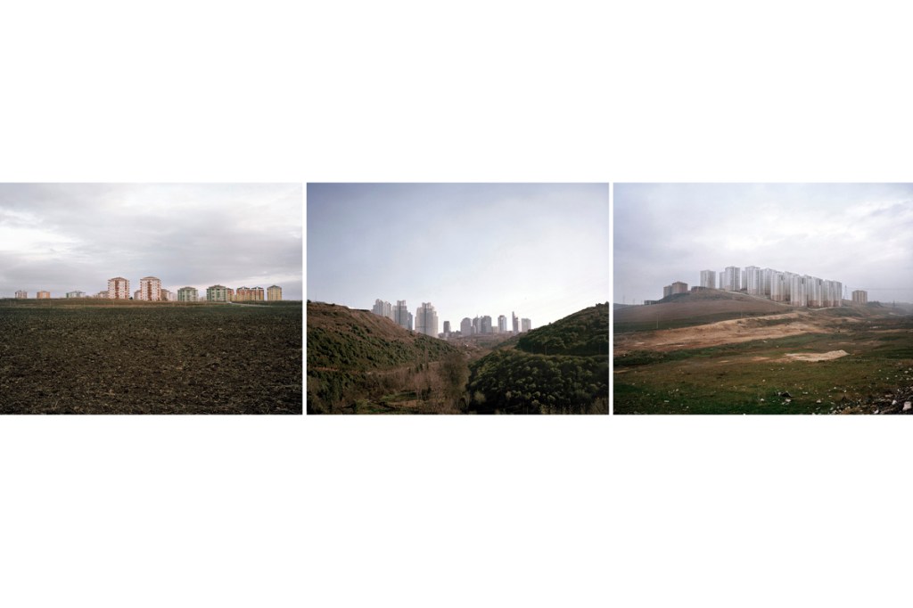 Shell2012 – 2013Archival pigment print on aluminumCourtesy the artist