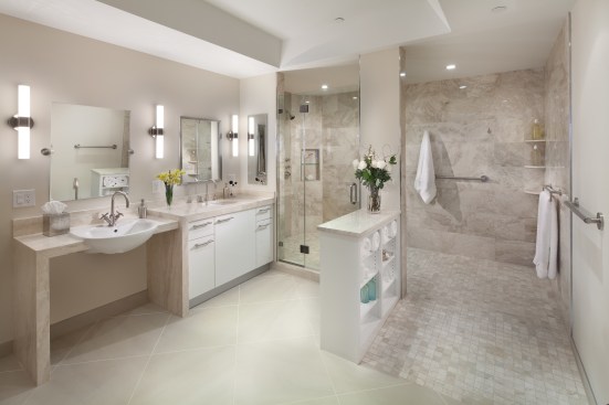 Roll-in Shower and Accessible Sink