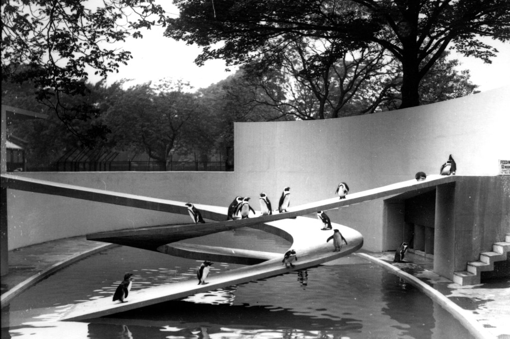 Ove Arup's Penguin Pool at the London Zoo, 1934