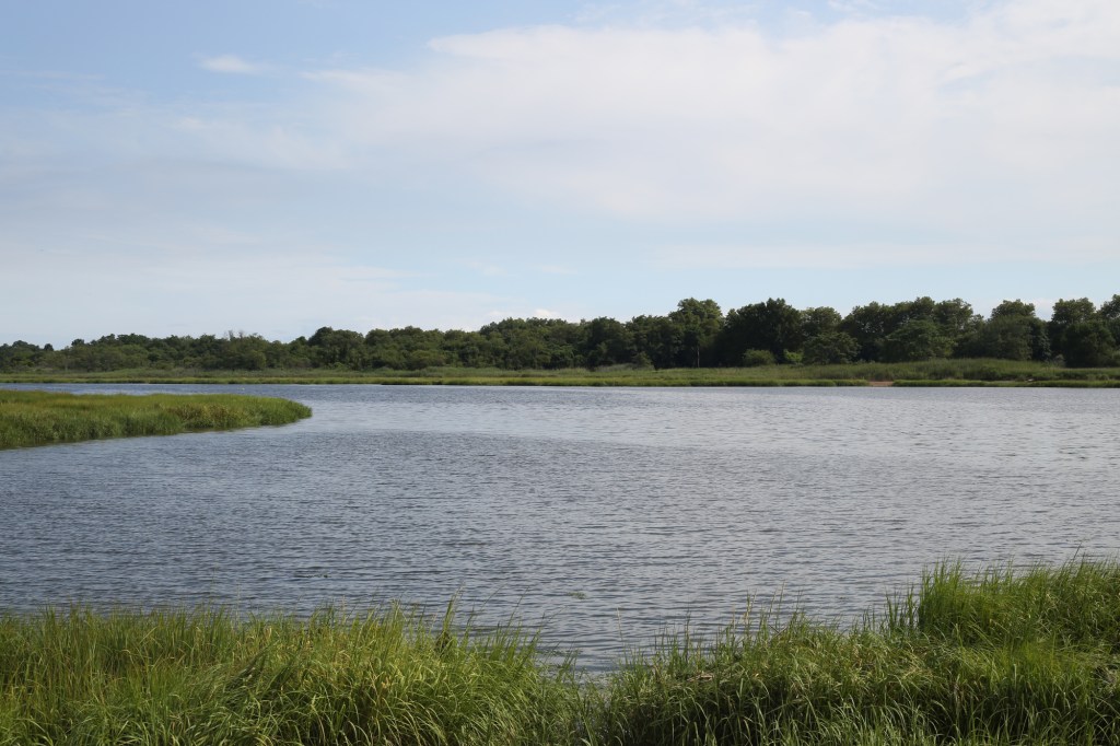 Marine Park, in Brooklyn.