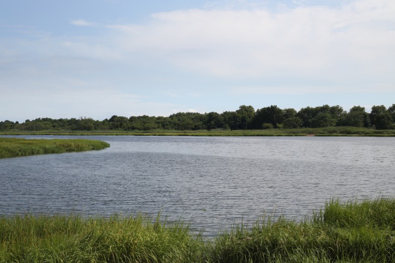 Marine Park, in Brooklyn.