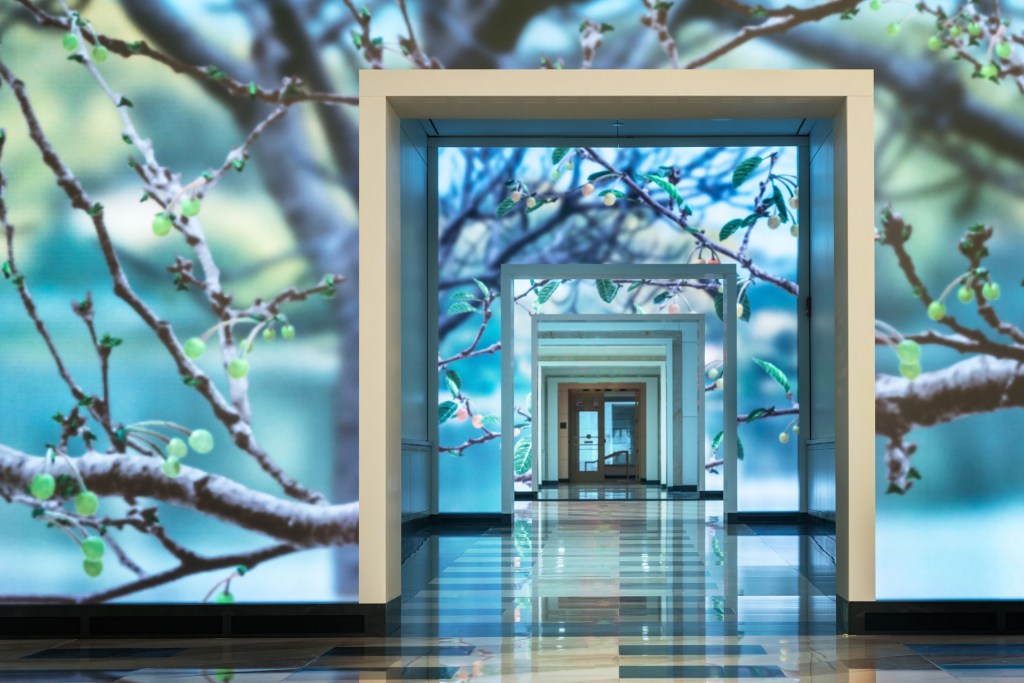 "Seasons" lets passersby inside and outside Terrell Place experience D.C.'s cherry trees throughout the year.