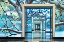 "Seasons" lets passersby inside and outside Terrell Place experience D.C.'s cherry trees throughout the year.