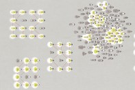 Where Does Innovation Happen?