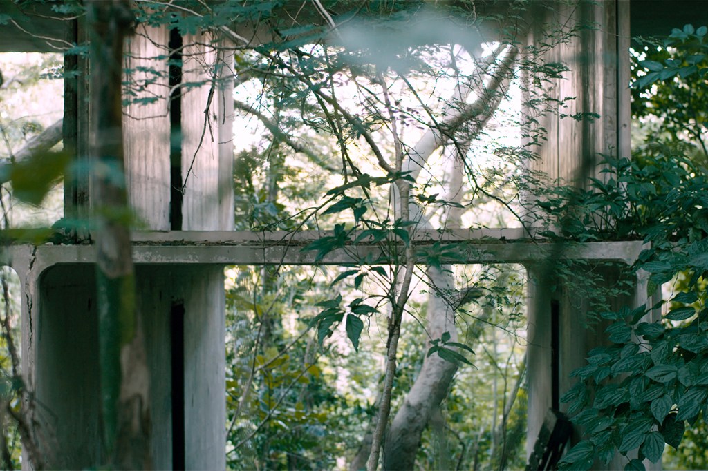 Exhibition film still