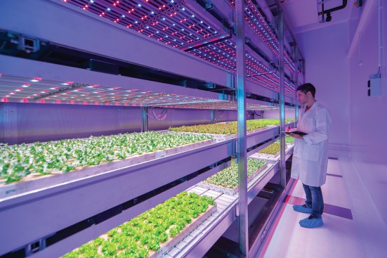 An urban farming study at the Stockbridge Technology Center in Yorkshire, England.