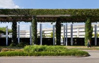 Anything can happen in the woods