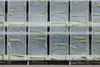 Photosynthetica curtain