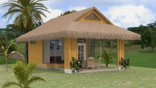 left perspective view showing bamboo exterior