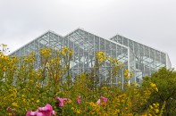 The 15,000 square foot, five-story Lena Meijer Tropical Conservatory constructed of galvanized steel is the centerpiece of the Frederik Meijer Gardens and Sculpture Park.