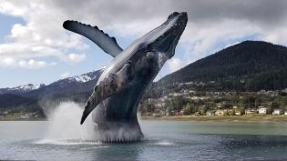 Design-build construction company Outside the Lines (OTL) has announced the completion of a unique celebratory construction project on behalf of Alaska’s 50th year of statehood.