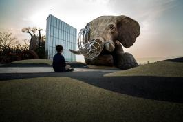Zooraji Rooftop | Olson Kundig