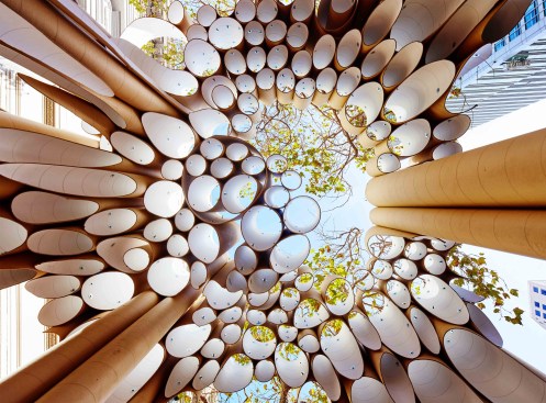 sonoGROTTO framing the sky above