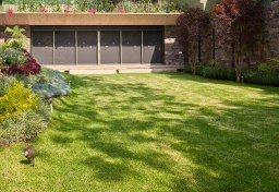 Pabellon JBP - Estudio MMX