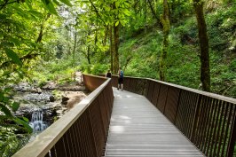 Lower Macleay Trail Bridge