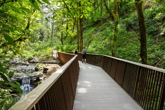Lower Macleay Trail Bridge