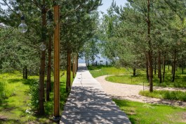 The natural look of the shore lake has been preserved, including willow trees and reeds.
