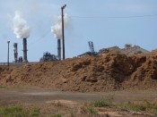Piles of bagasse on a sugar plantation in Maui