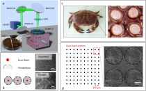 Biomimetic antimicrobial cloak by graphene-oxide agar hydrogel