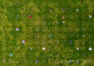 Dolores Park in San Francisco