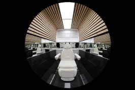Front view (fish-eye)