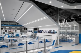 Large Canopy in Dining Room
