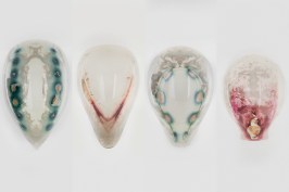 Chemical signals embedded in a series of masks 3D printed by the Media Lab's Mediated Matter group caused living engineered bacteria coated onto the masks to produce colors only in the areas treated with the chemical signals.