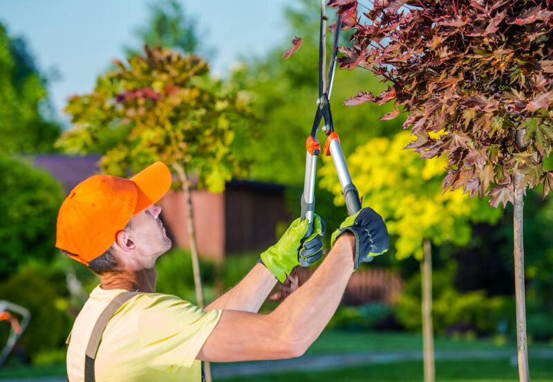 VRL Tree Services