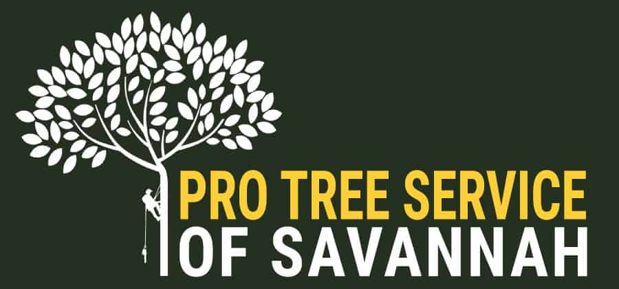 Pro Tree Service of Savannah