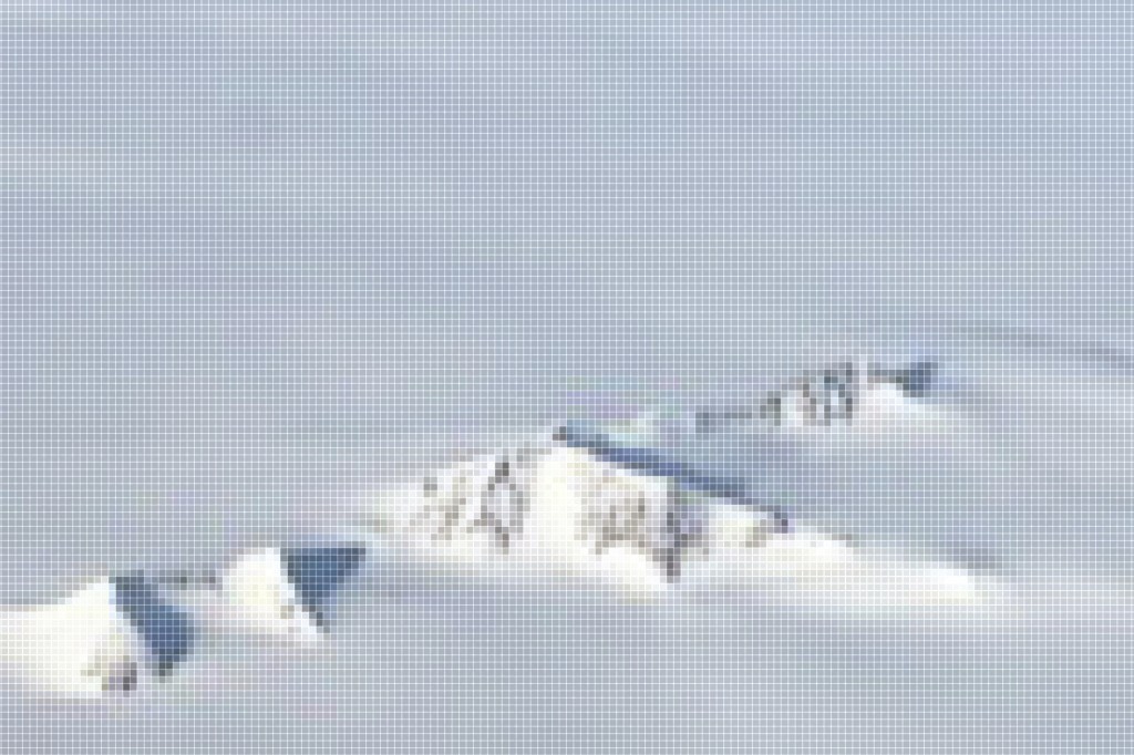 Daniel A. Barber, "Images of Accumulation: Art, Architecture, and the Media of Climate Change," 2017. Digital image. From the 2021 organizational grant to e-flux Architecture for "Accumulation: The Art, Architecture, and the Media of Climate Change"