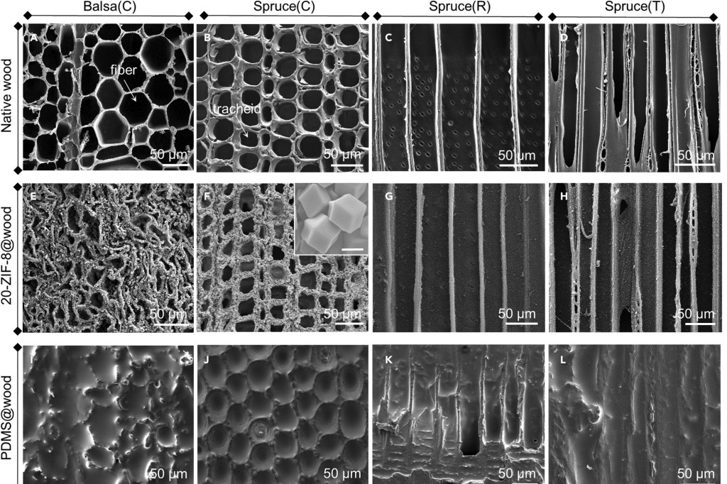 Morphological and physico-chemical characterization of native wood, ZIF-8@wood, and PDMS@wood samples from researchers at Swiss Federal Laboratories for Materials Science and Technology in Dübendorf and Eidgenössische Technische Hochschule Zürich, published in Matter