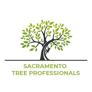 Sacramento Tree Professionals