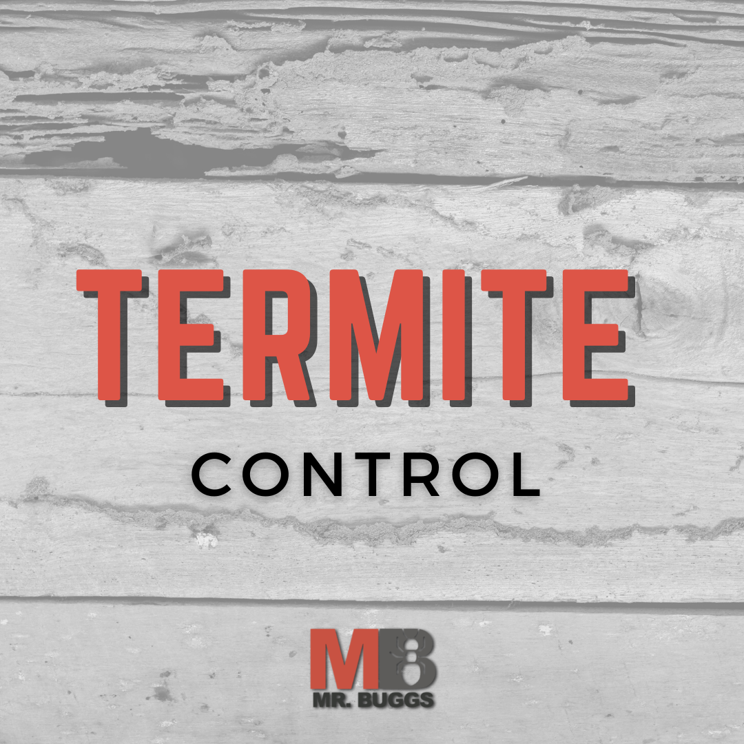 Mr Bugg’s Pest Patrol, Inc