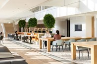 Boston Consulting Group offices in Toronto, by HOK