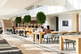 Boston Consulting Group offices in Toronto, by HOK