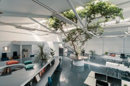 Ficus Office
