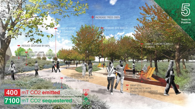 A case study from the San Francisco firm CMG Landscape Architecture shows how specific design improvements, such as careful material and foliage selections, can transform a university campus into one that more powerfully sequesters carbon for a 74% reduced footprint.