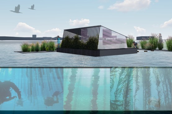 The RETI Reef Garden cultivates a biophilic marine ecosystem supporting life from the sea bed to the skies above.