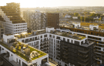 Courtesy of Standard IndustriesA vineyard and bee hives on the roof of City Hall in Paris.