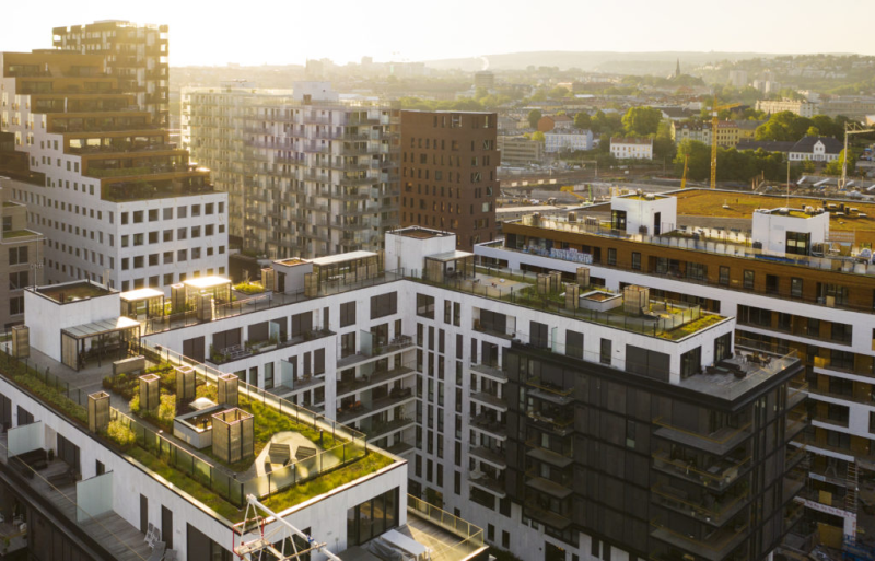 Courtesy of Standard IndustriesA vineyard and bee hives on the roof of City Hall in Paris.