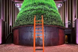 Vertical farming at the Netherlands Pavilion