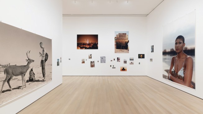 Installation view of Wolfgang Tillmans: To look without fear, on view at The Museum of Modern Art, New York from September 12, 2022 – January 1, 2023.