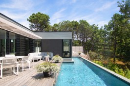 A sense of swimming amongst the pines from the pool.