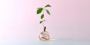 Acorn Vase, by Ilex Studio