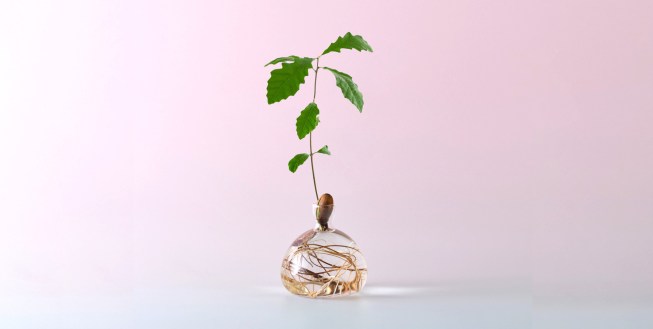 Acorn Vase, by Ilex Studio