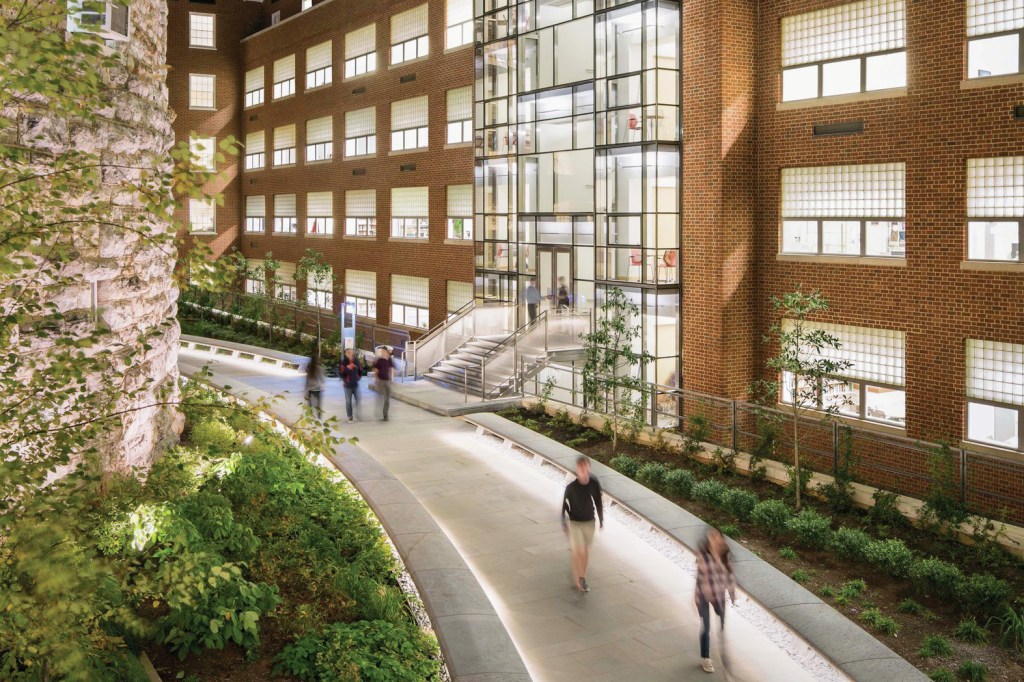 Originally designed by Eggers and Higgins Architects in 1950, the University of Virginia New Cabell Hall in Charlottesville was restored and renovated by Goody Clancy.