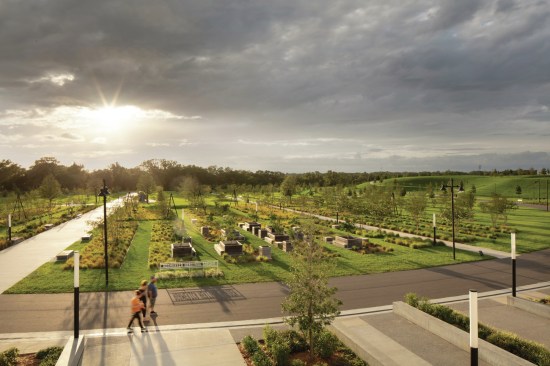 The Heritage Garden at Bonnet Springs Park includes hundreds of oaks reclaiming a former railyard. Lakeland, Florida.