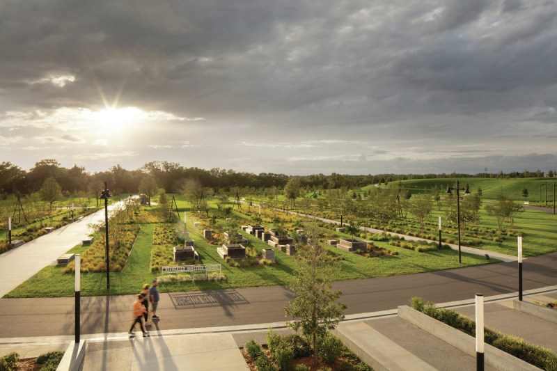 The Heritage Garden at Bonnet Springs Park includes hundreds of oaks reclaiming a former railyard. Lakeland, Florida.